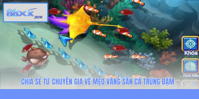 Chia sẻ từ chuyên gia về mẹo vàng săn cá trúng đậm