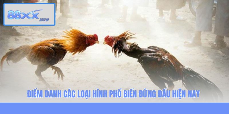 Điểm danh các loại hình phổ biến đứng đầu hiện nay