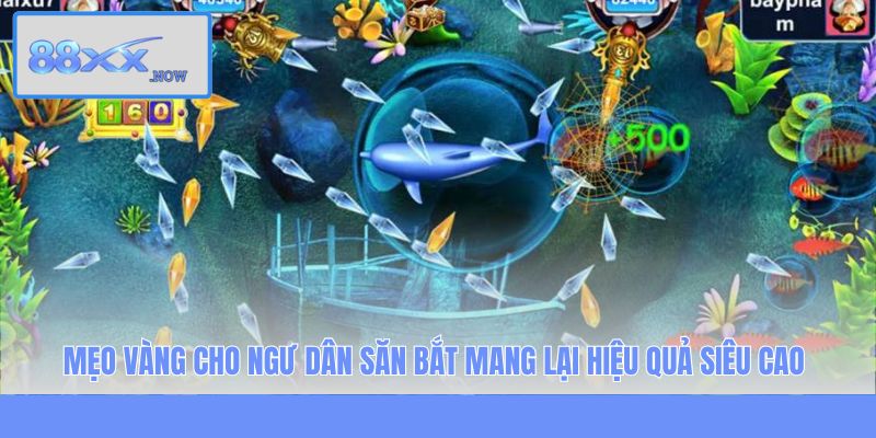 Mẹo vàng cho ngư dân săn bắt mang lại hiệu quả siêu cao